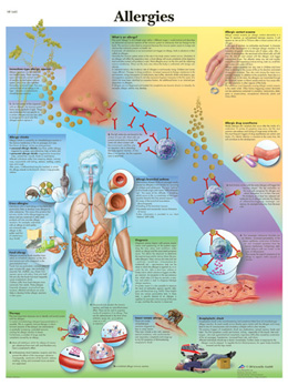 All Products - Allergies